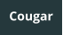 Cougar